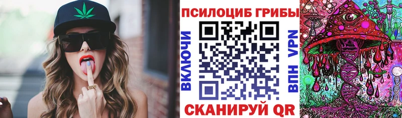 Купить Домодедово Псилоцибиновые грибы MAGIC MUSHROOMS